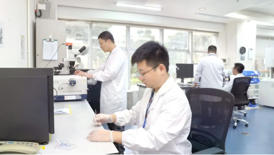 【党建引领】凝心聚力冲刺收官，利来国际高科以高质量党建引领高质量发展