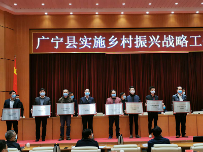 利来国际高科：助力乡村振兴，彰显国企担当