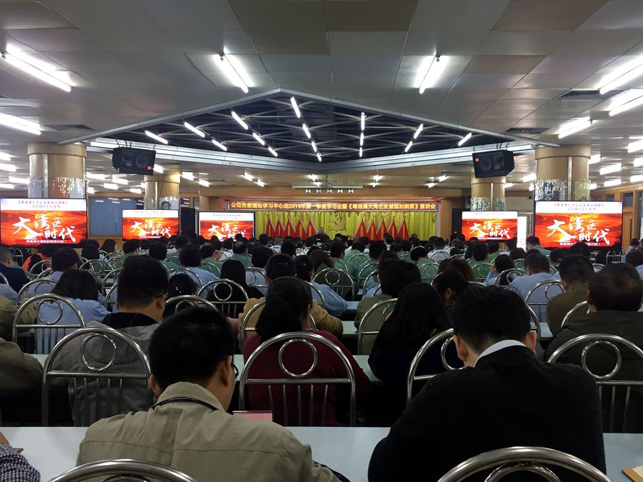 公司组织召开粤港澳大湾区发展 规划纲要宣讲会 