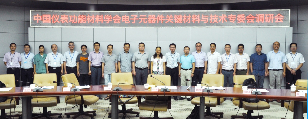 中国仪表功能材料学会电子元器件关键材料与技术专委会莅临利来国际高科调研交流