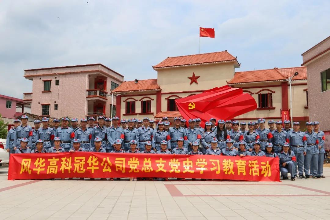 冠华党总支荣获广东省国资系统先进基层党组织